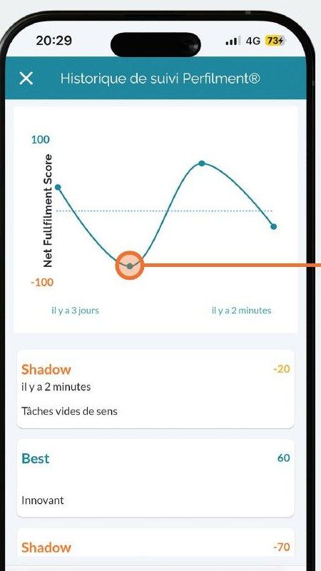 Application Perfilment : courbe Elevated Self et Shadow sur 12 mois